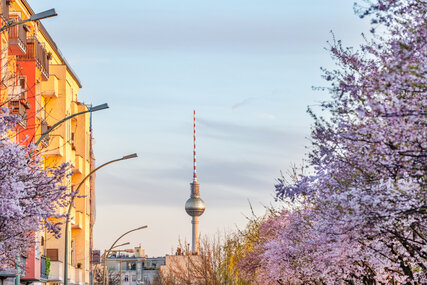 Frühling in Berlin: Strassen mit blühenden Bäumen